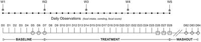 Effects of Synbiotics on the Fecal Microbiome and Metabolomic Profiles of Healthy Research Dogs Administered Antibiotics: A Randomized, Controlled Trial